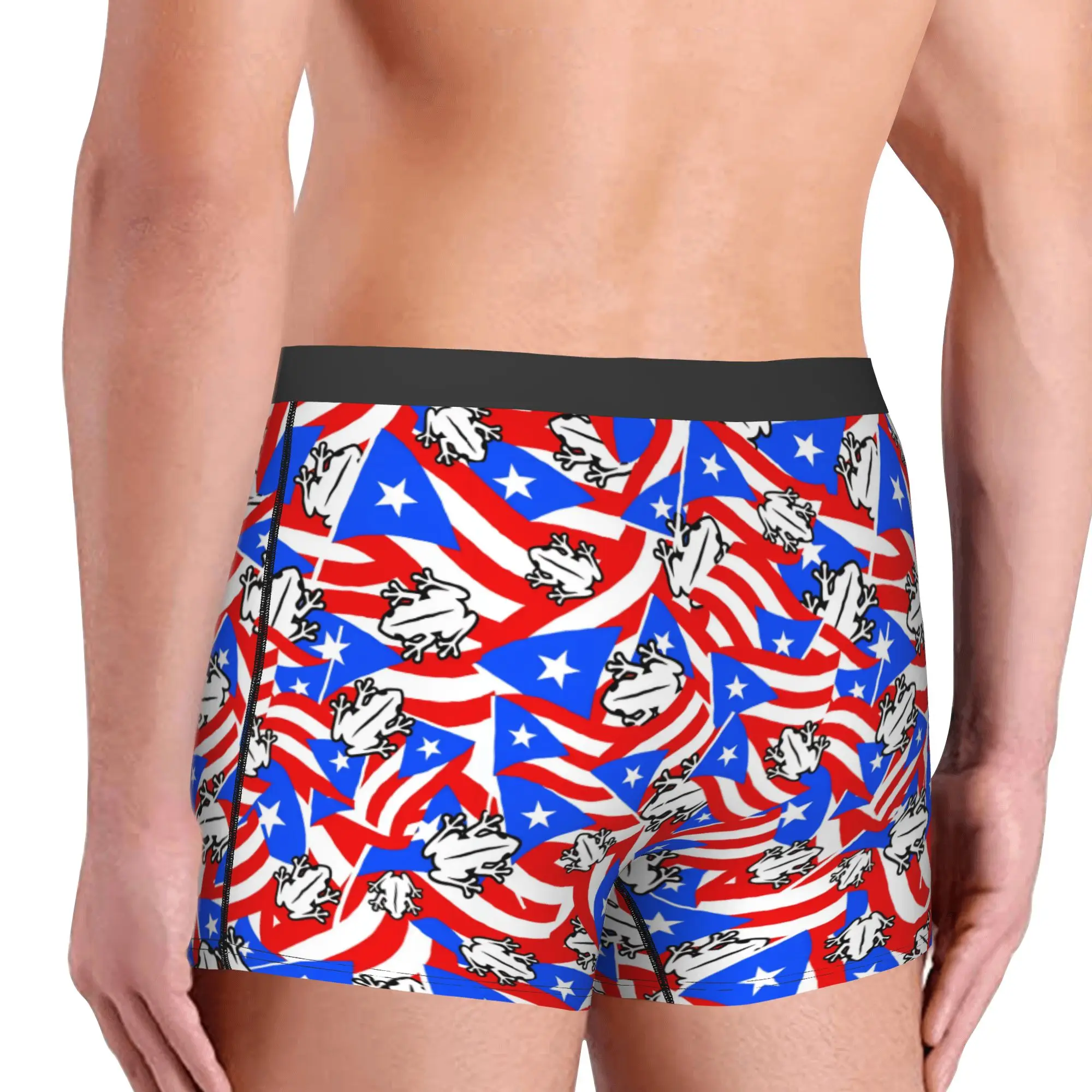 Cool Frog Puerto Rico Pride  Boxers Shorts Panties Male Underpants Comfortable  Animal Lover  Briefs Underwear