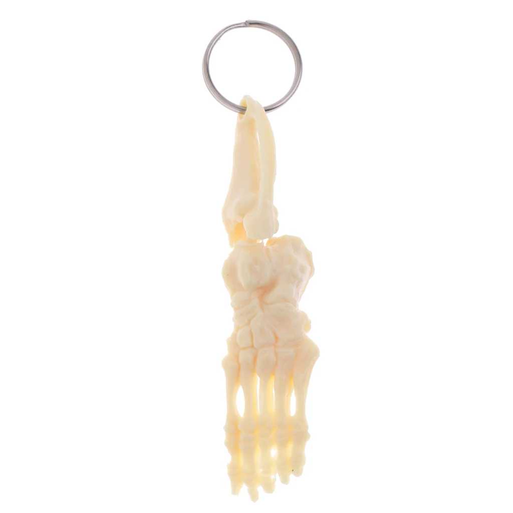 1Pcs Novelty Keychain for Men & Women, Mini Handcrafted Human Spine Skeleton Model Key Ring, Learning Tools Collectibles