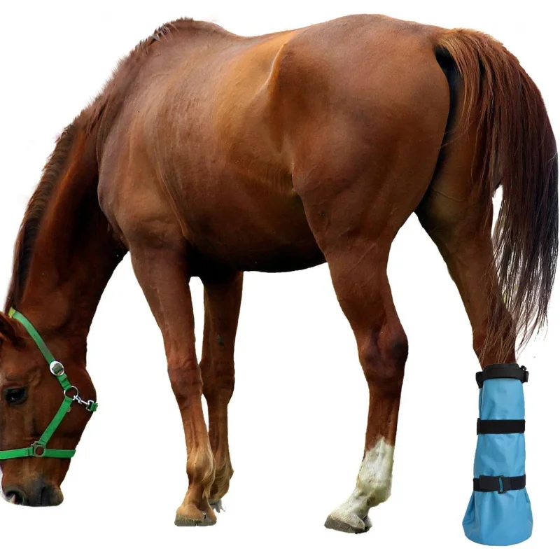 Heavy Duty Hoof Soaking Boots With EVA Pads 1 Pair Leakproof Equine Care Bag For Abscess Thrush Medical Treatment