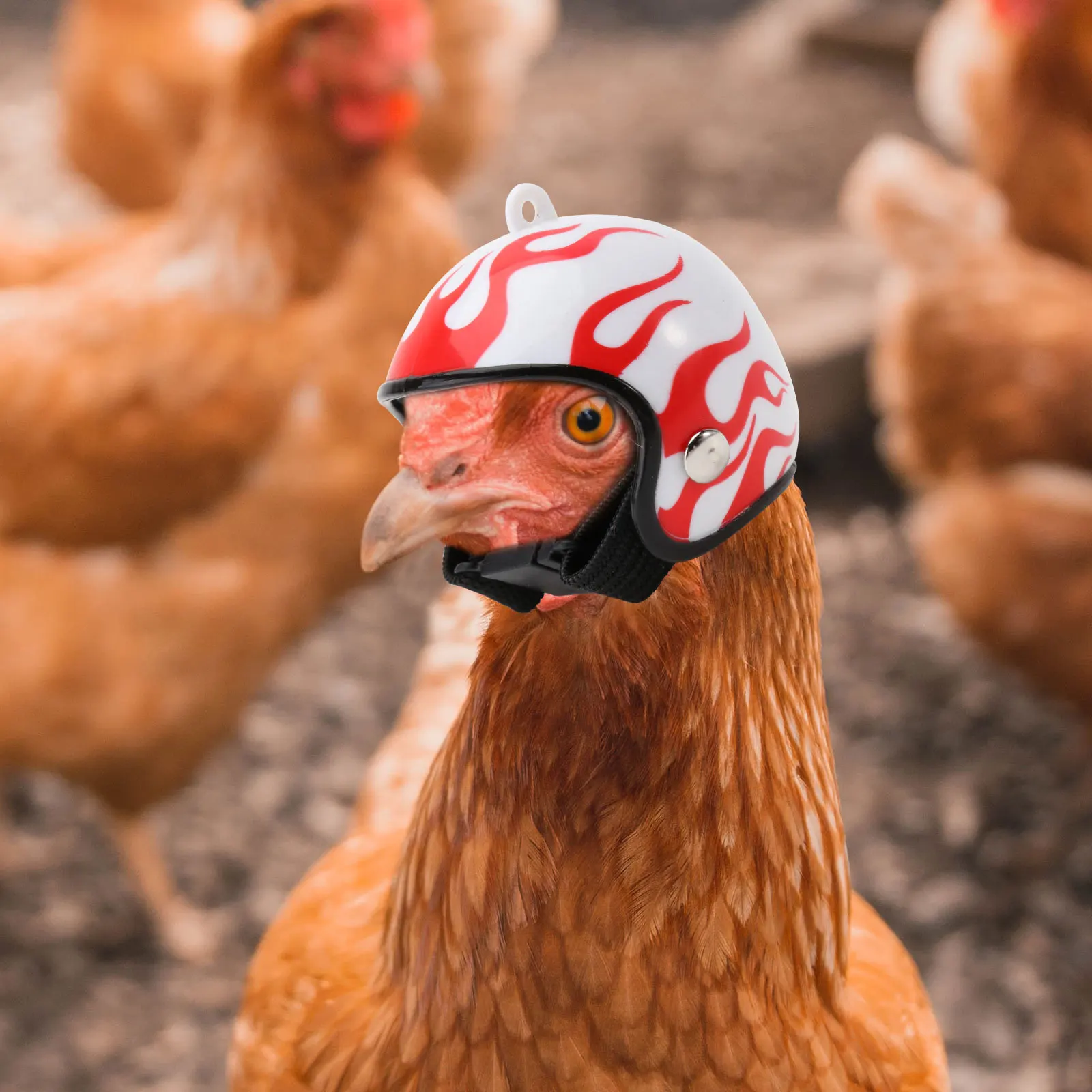 

Chicken Black Printing Design Sun Rain Protection For Hens Outdoor Use Costume Accessories Pp For Pet Protection