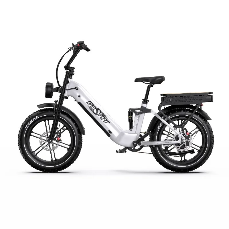 Custom Lightweight Alloy 48V 250W 18Ah 864Wh 20x4.0 Inch Rear Hub Motor Hydraulic Disc Brake Adult Electric City Bike