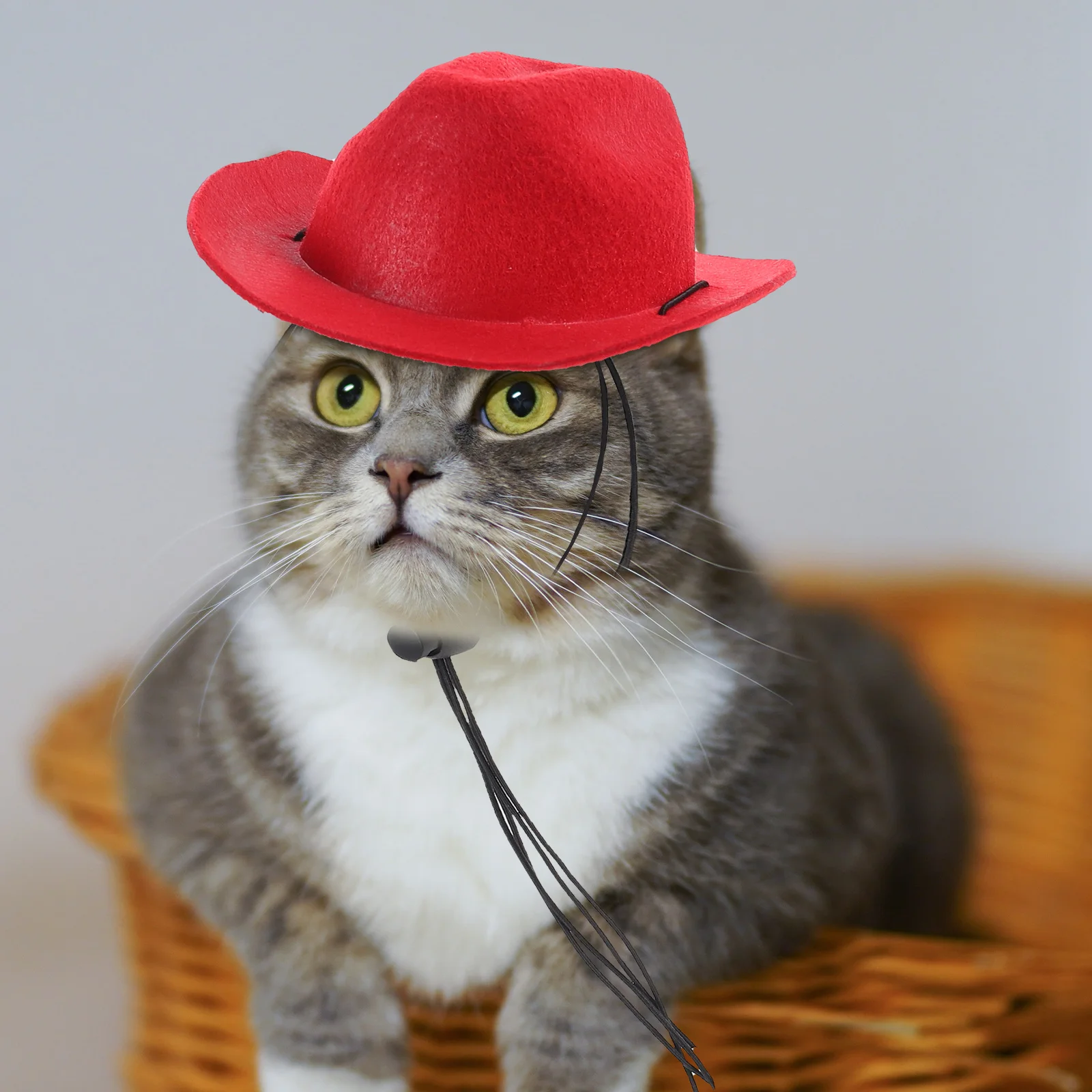

5pcs Hats Dog Cat Accessories Festival Cowboy Hat Multi-Function Kitten Hat for Small Pets Adjustable Strap Non Woven