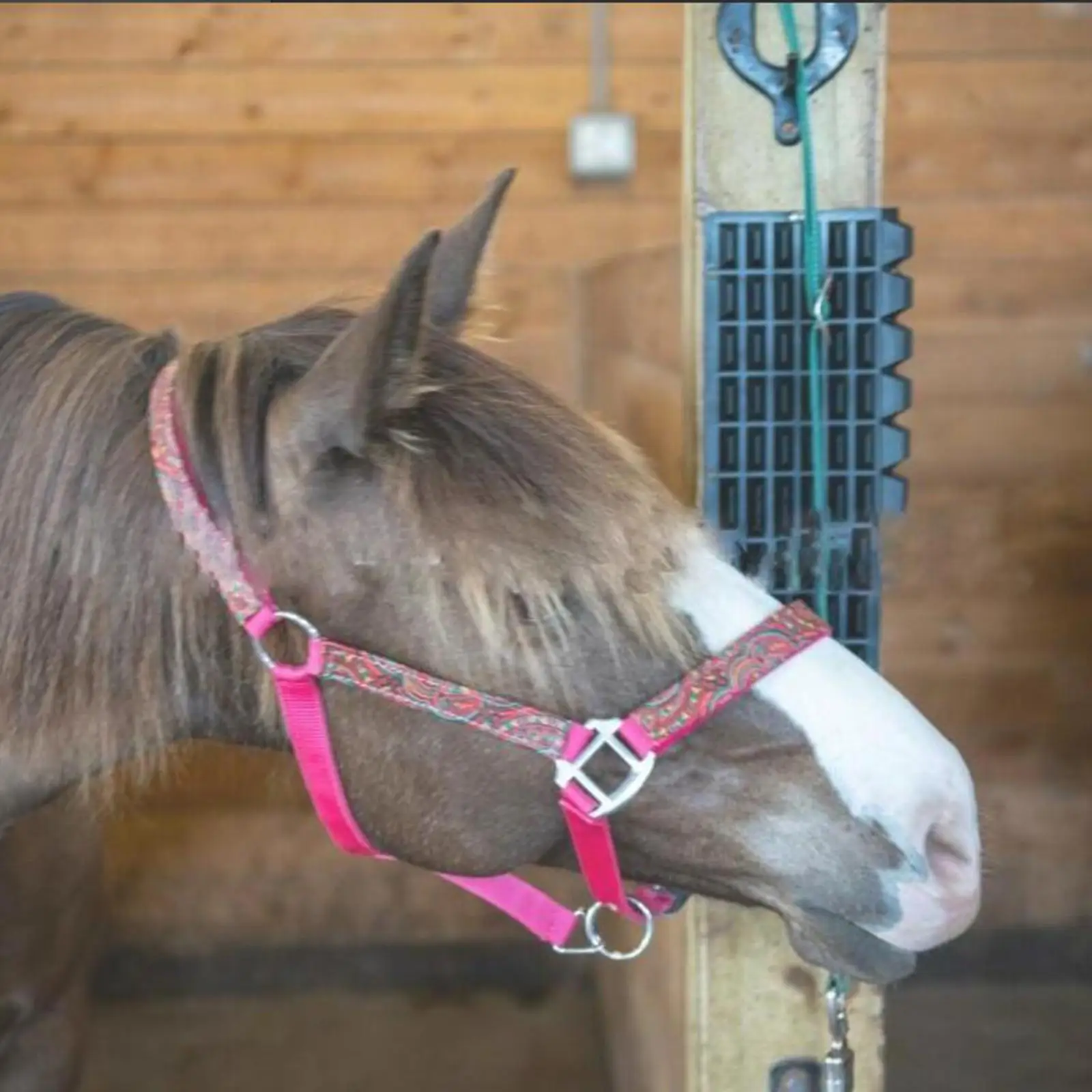 Bridle Hook Wall Mount Hanger ABS Organizer Sturdy Halter Rack for Tack Room Horse Trailer Barn Use