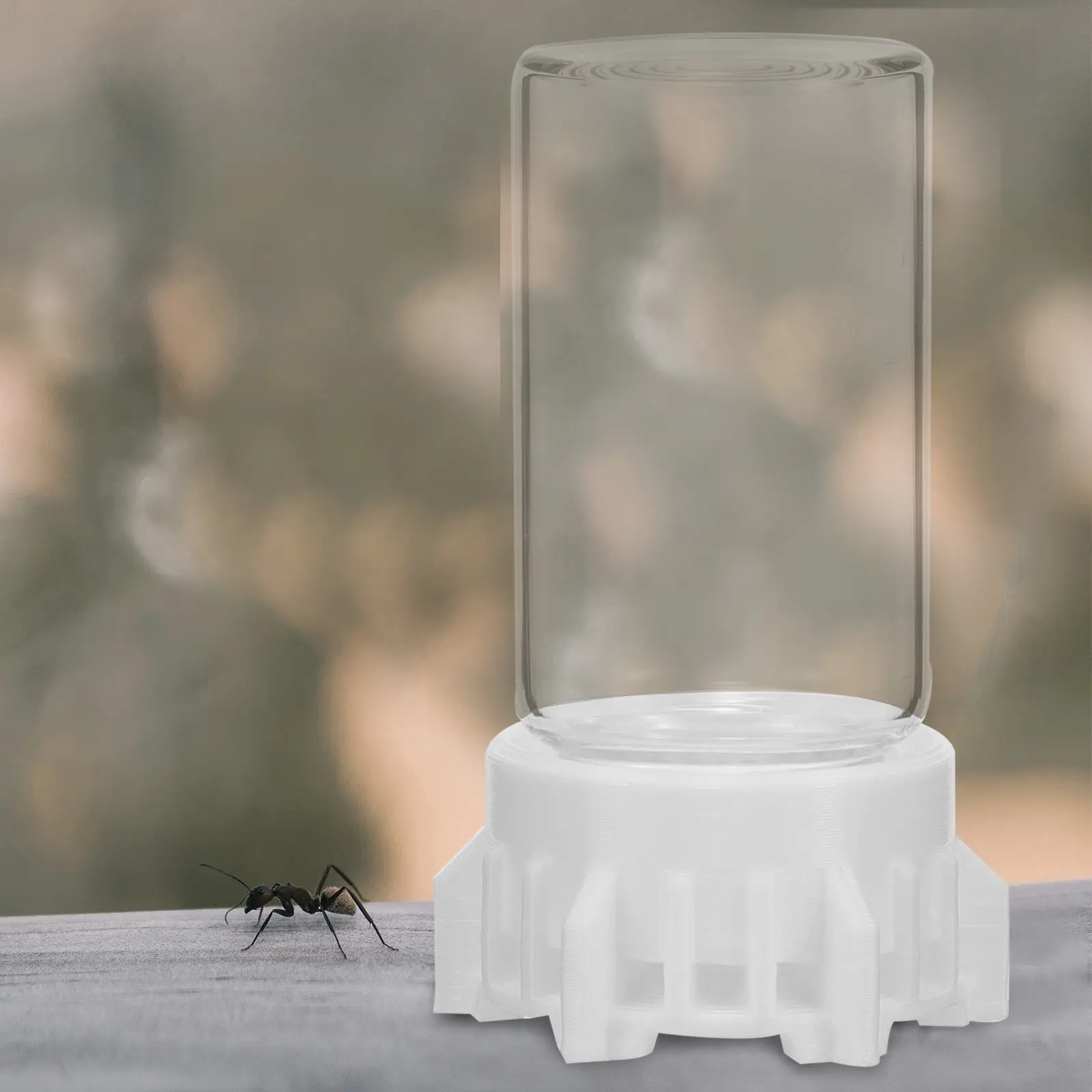 Ant Nest Water Feeders Reusable Plastic Glass Ants Feeding Tool Strong Wear Resistance Ant Water Cups for Garden