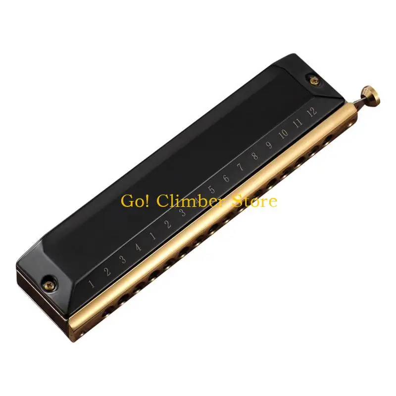 

Q84C Harmonica 16 Holes Harp 48 Tones Diatonic Harp for Key C Blues Mouth Organ Harp Early Education Music Trainin