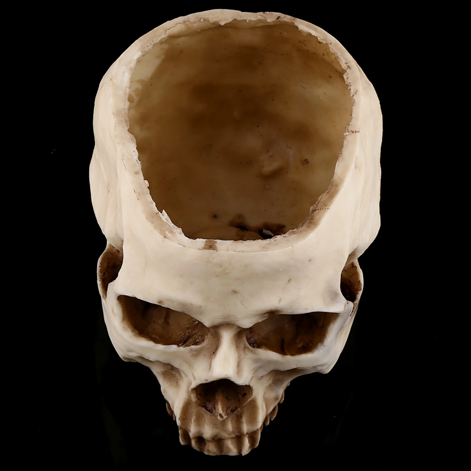 Resin Skull Head Design Flower Pot Planter Container Decoration Skull Container Skull Pot Skull Plant Pot Skull Flowerpot gallery 3