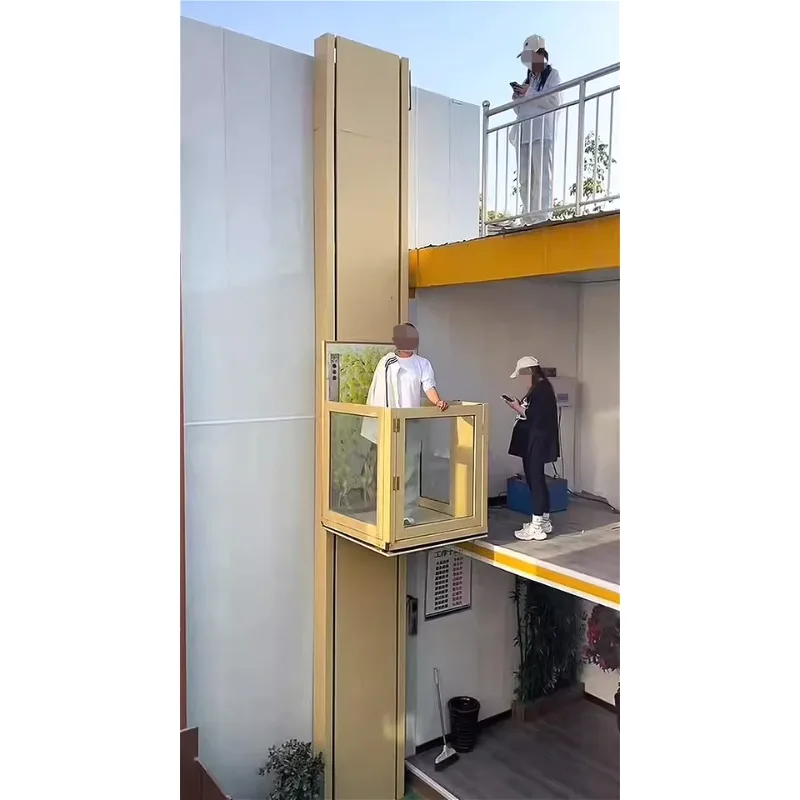 2-8 متر فيلا منزل صغير مصعد هيدروليكي رفع منصة رفع الشحن مستودع مصنع البضائع رفع المسنين مع التنقل المحدود #4