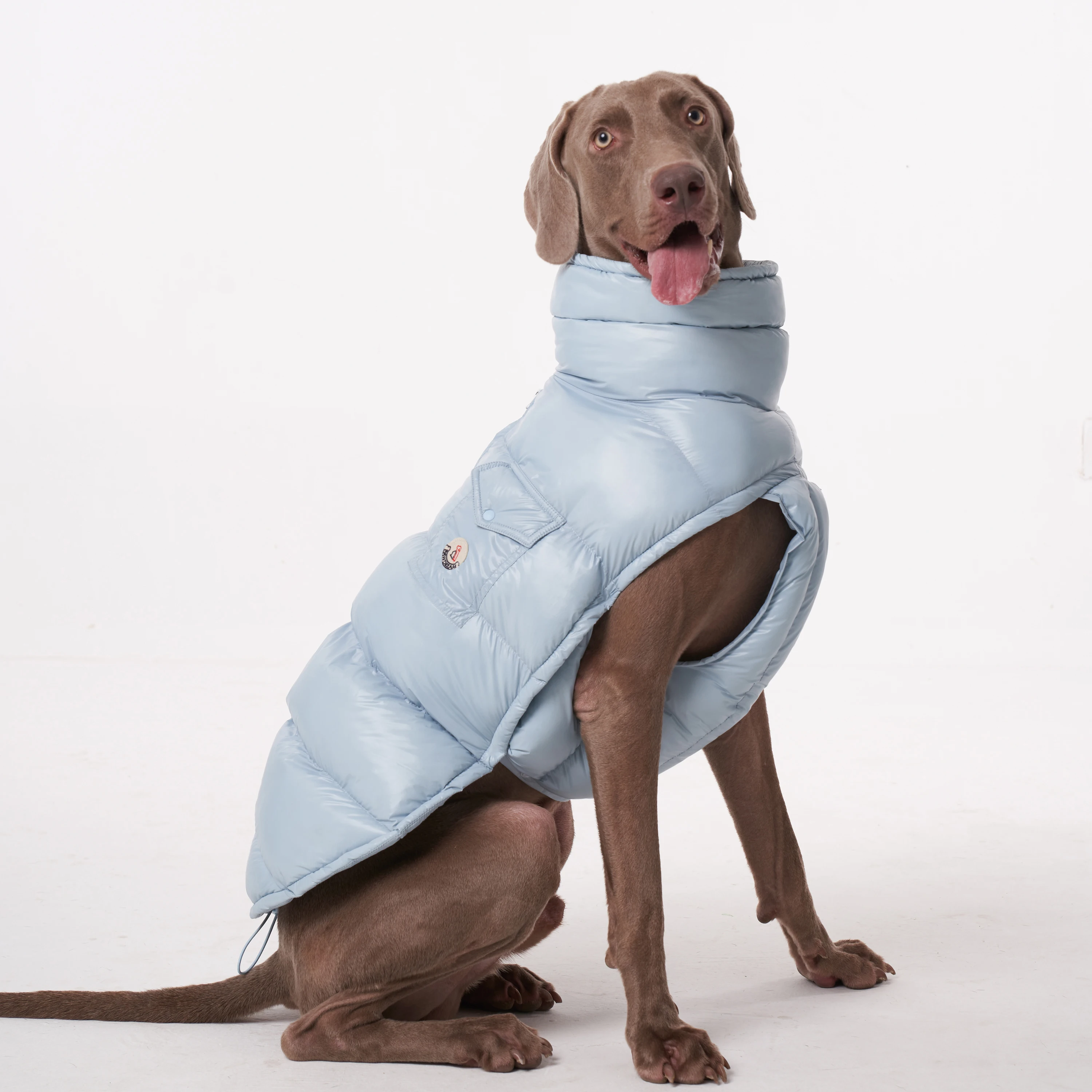 

PawDream Dog Clothes Raincoat For Small Big Dogs Wind Coat Windbreaker French Bulldog Hoodie For Dogs Clothes Jacket Chihuahua