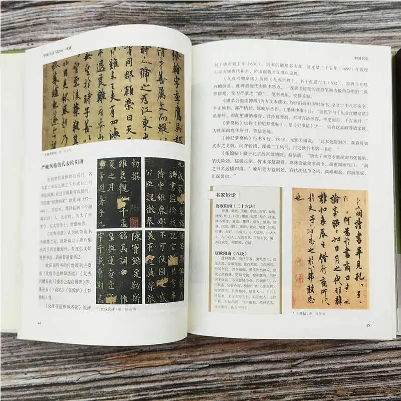 A Comprehensive Book of Chinese Calligraphy and Painting Genuine edition Chinese Calligraphy and Painting Books Book Libros