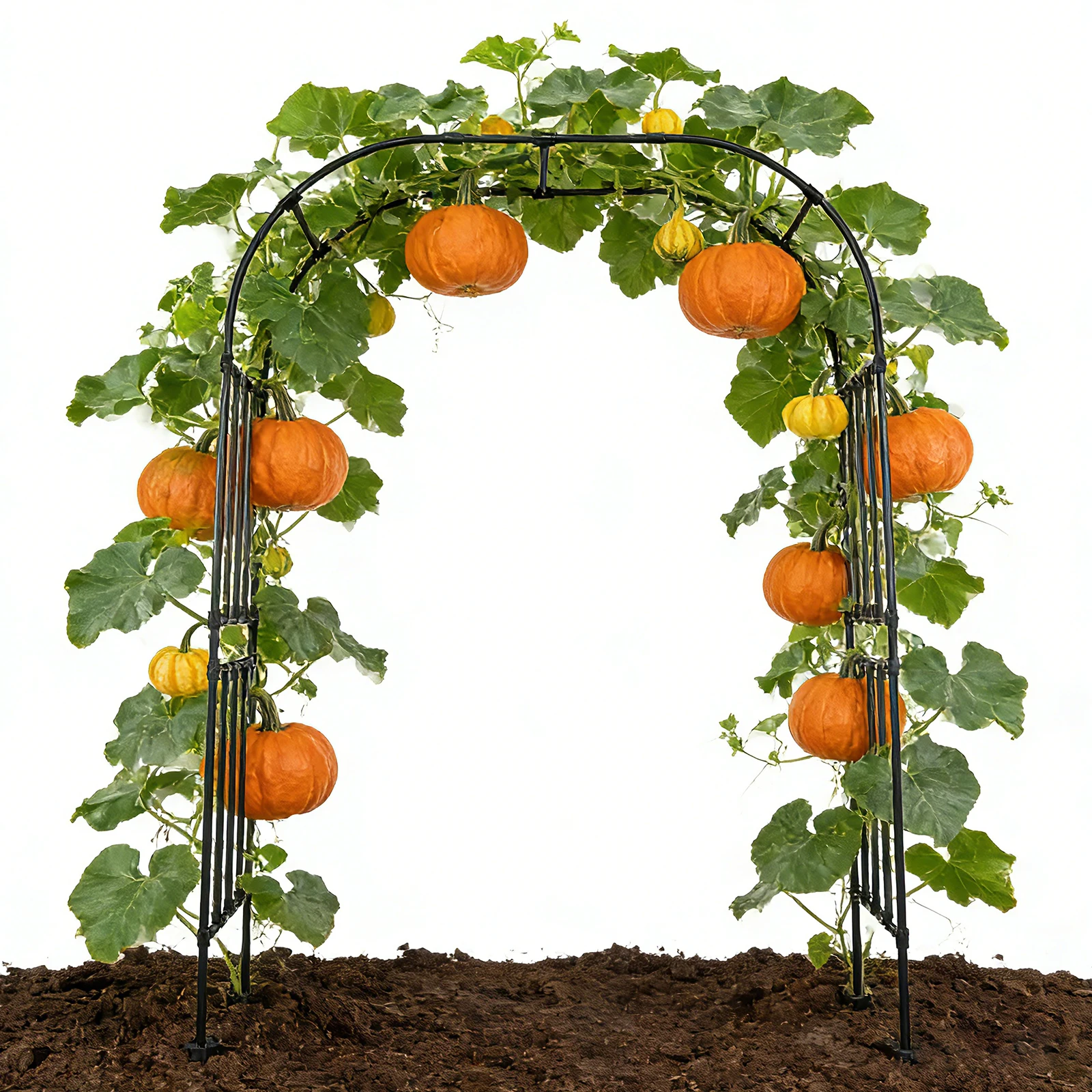 Garden Arch Trellis for Climbing Plants Outdoor Metal Arch Frame Garden Arbors and Arches Outdoor Archway 70.87''/94.49''/118''