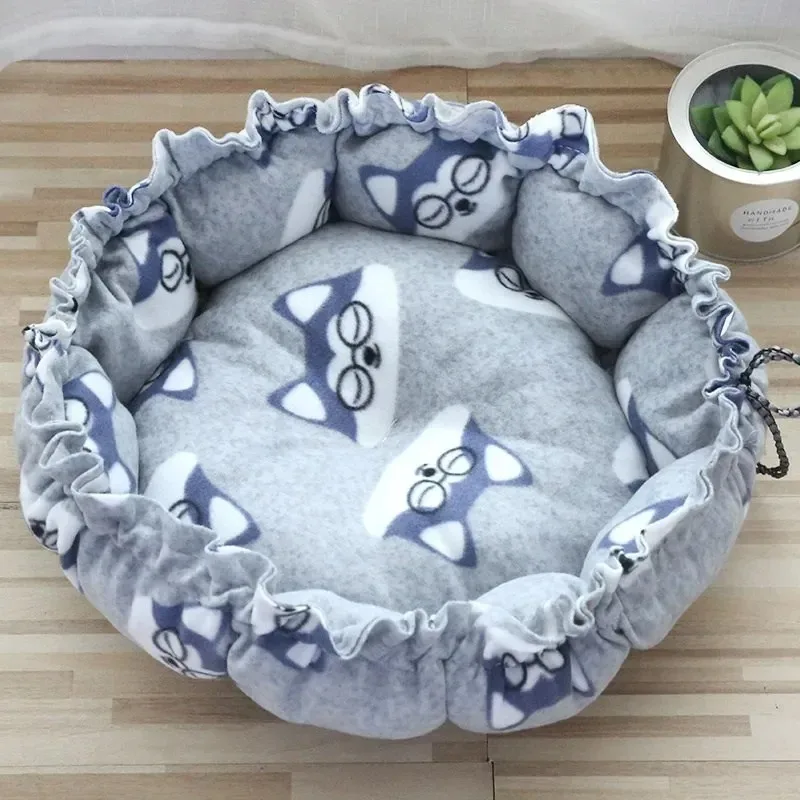 Grey dog