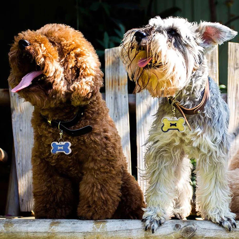 

5Pcs Pet Identity Tags Creative Durable Lightweight Alloy Dog Tags Collar Engraving Pet Tag Dog Id Tag