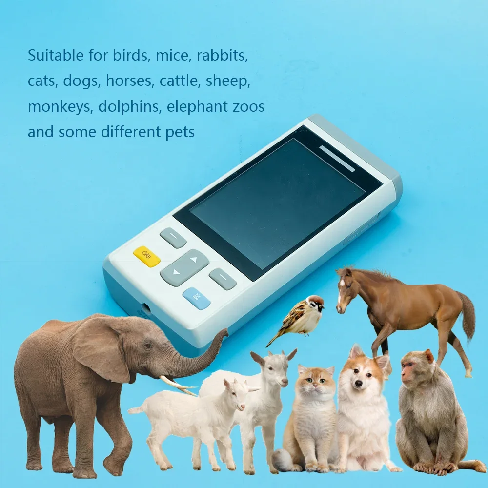 Veterinary Equipment Touch Screen Spo2 Nibp Temp Veterinary Mo-nit-or For Pet Clinic Hospital