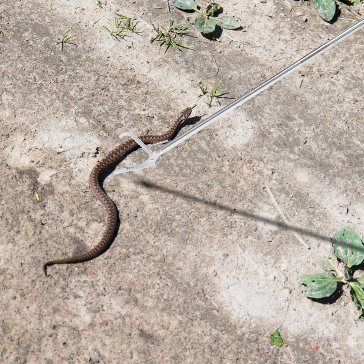 Opvouwbare Slangtang Afvalklem - Gardening Tools For Digging recensie en prijs