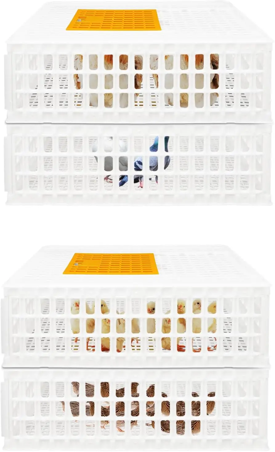 4 Pcs Poultry Carrier Crate, Plastic Chicken Transport Cage, Stackable Chicken Carrier Basket Box with Ventilation Holes & Top S