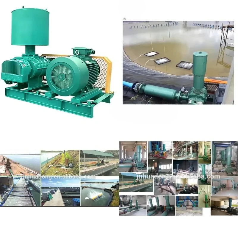 for 7.5 kW 10 HP Roots Blower for Aquaculture Fish and Shrimp Aeration Tank