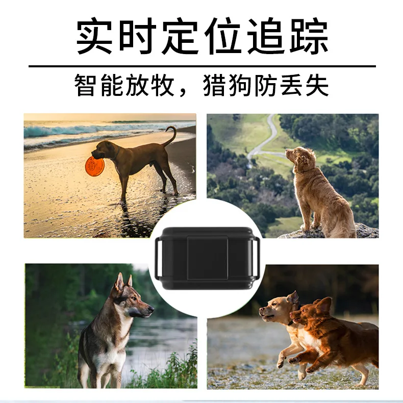 Localizador 4G Hound Localizador de animais de estimação GPS Beidou GPS Localizador