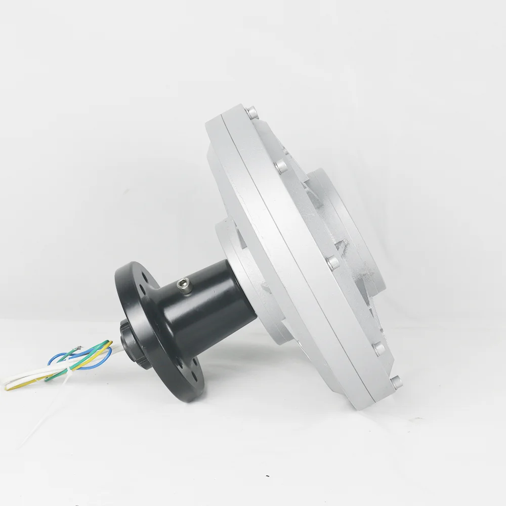 Imagem -03 - Gerador Permanente Maglev Coreless Alternador Maglev Faça Você Mesmo l Turbina Eólica 100w500w 1kw 2kw 3kw 100rpm 300rpm 24v 48v 220v dc