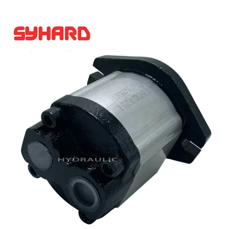 Pompa a ingranaggi BHP2A0D14H2Z13-R BHP2A0D16H2Z13-R BHP2A0D20H2Z13-R D25/D28/D36/D10