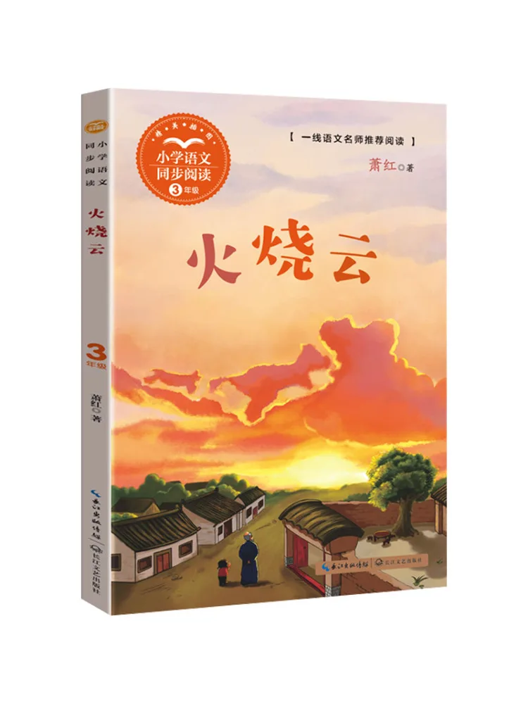 

Книга-Winshare Fire Cloud