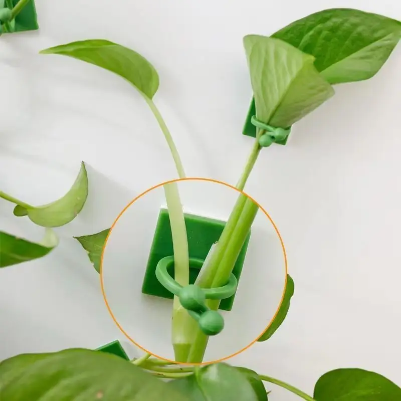 Self‑Adhesive Plant Climbing W - огляд і ціна Indoor Herb Garden