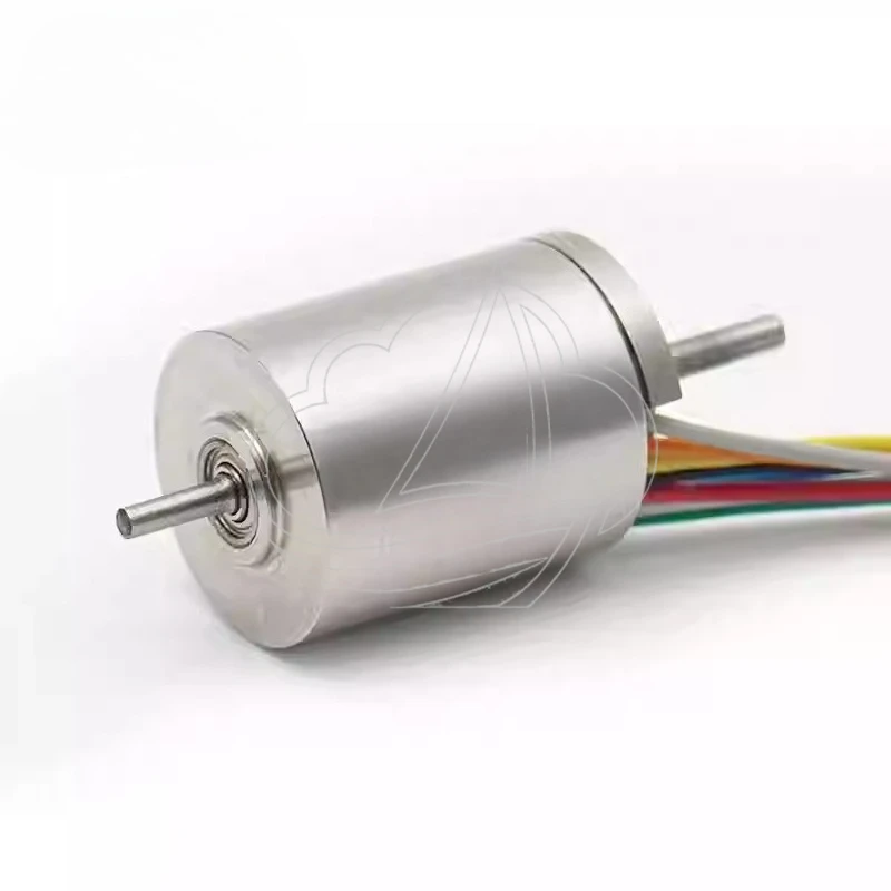 Hollow Cup Motor, Double Shaft, High Torque with Encoder