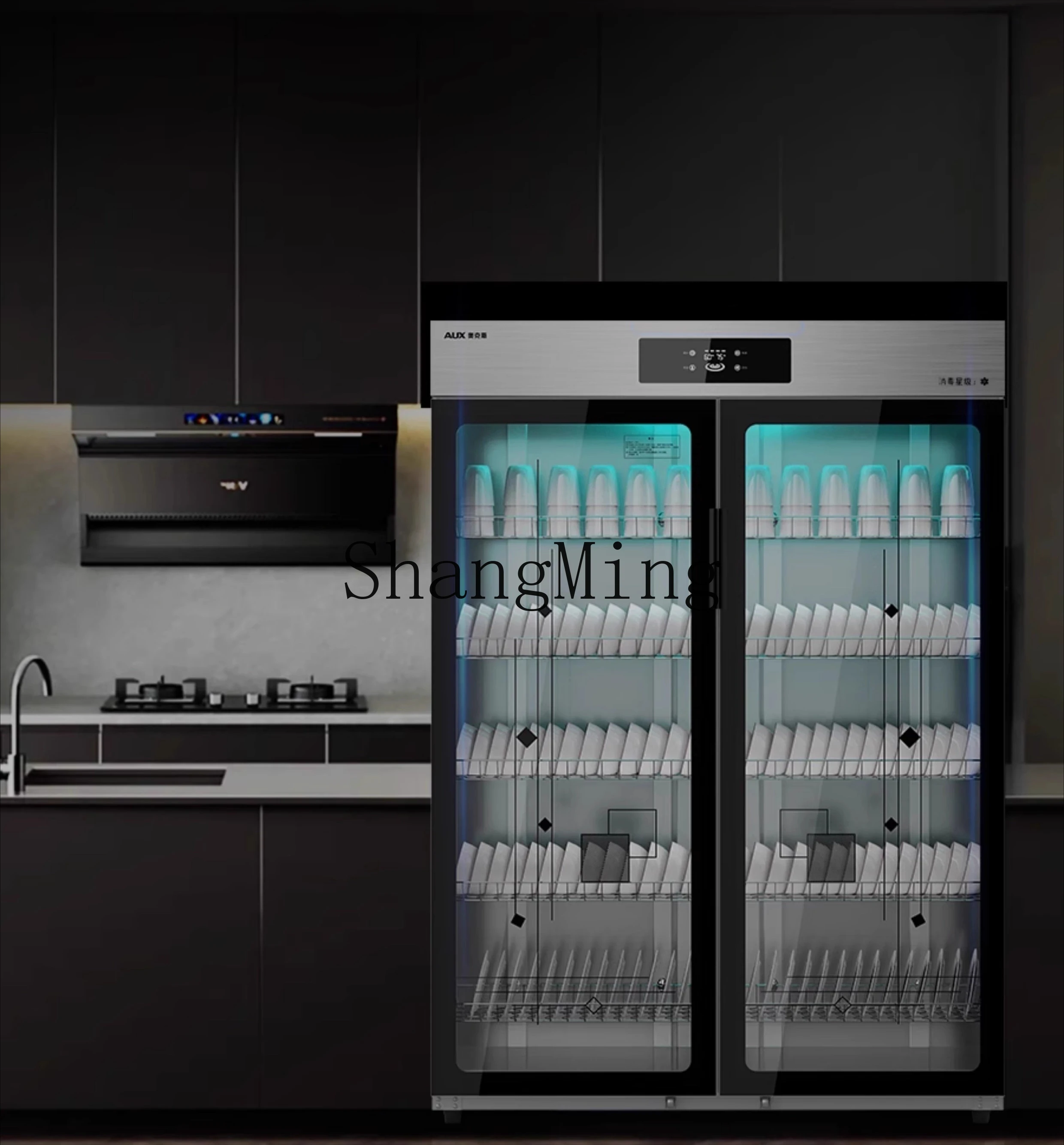 ZYY commercial catering hotel vertical double door large capacity stainless steel tableware household disinfection cupboard