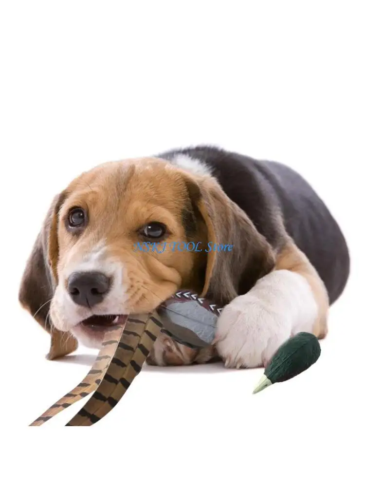 

L8RC Интерактивная игрушка для охоты на домашних животных, птица, дрессировочная игрушка для собак, фазаны, товары для щенков