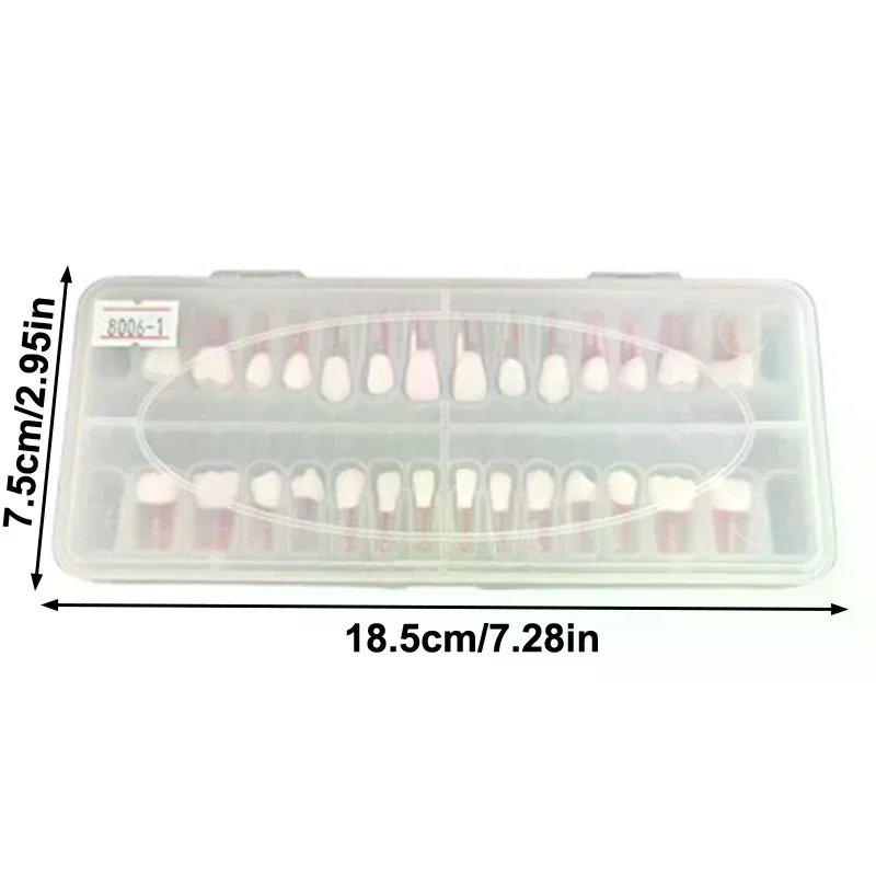 28 قطعة/المجموعة الأسنان اللبية نموذج لشكل الأسنان كامل الفم قناة الجذر ممارسة دراسة نموذج إندو كتلة الأسنان التدريب #6