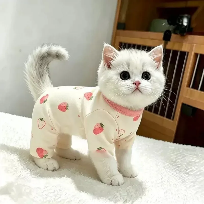 Warm Cat Clothes Autumn Winter Four Legged Pet Dog Puppy Gold Gradient British Short American German Belly Protection