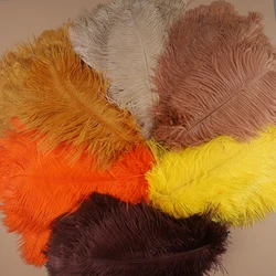 10pcs Ostrich Feathers for Crafts White Feathers Plumas for Vases Wedding Party Art and Art Decoration Accessories on Table