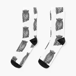 Baby rock hyrax calcetines transparentes esenciales, regalo de Navidad para niños, Calcetines para mujeres