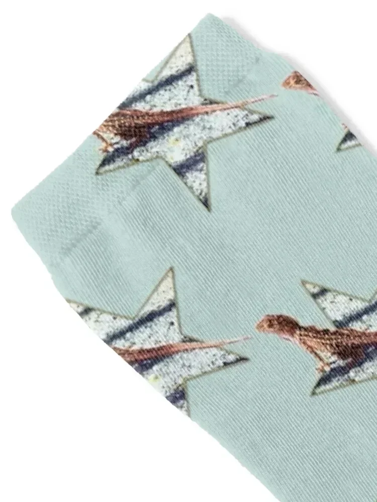 The Lizard Socks Novelties football halloween hiking Men Socks Women's