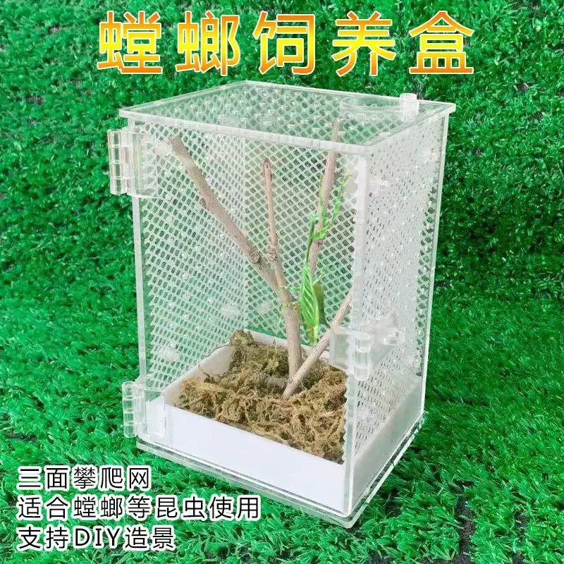 Generic Acrylic Mantis Enclosure  Insect Feeding Box Terrarium with Ventilation for Praying Mantis, Spider, Reptile Habitat