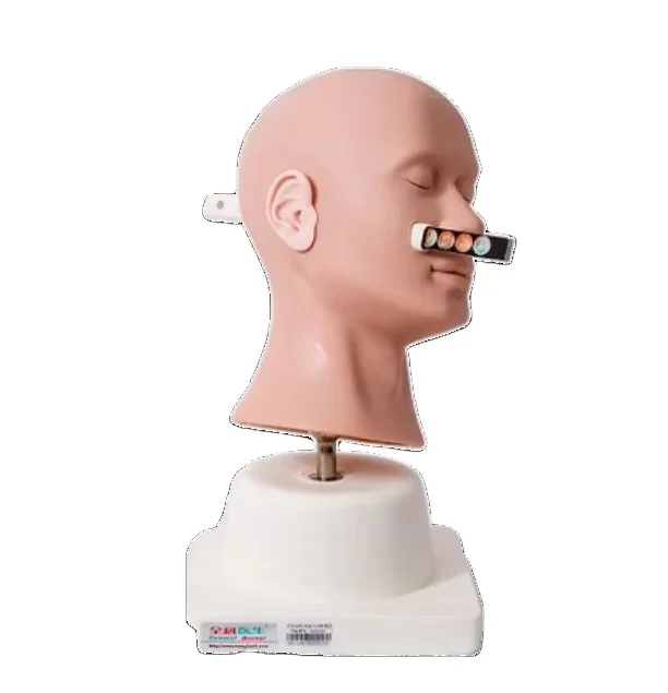 GD/LV41  Advanced Ear Diagnostic Simulator, Medical Model