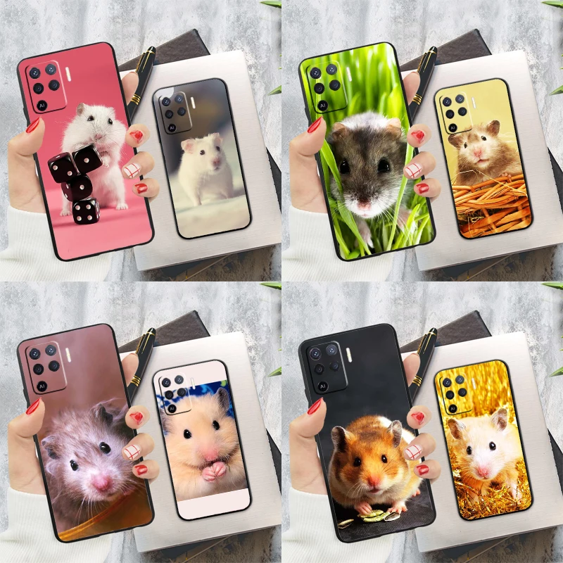 Cute Adorable Hamst… - image