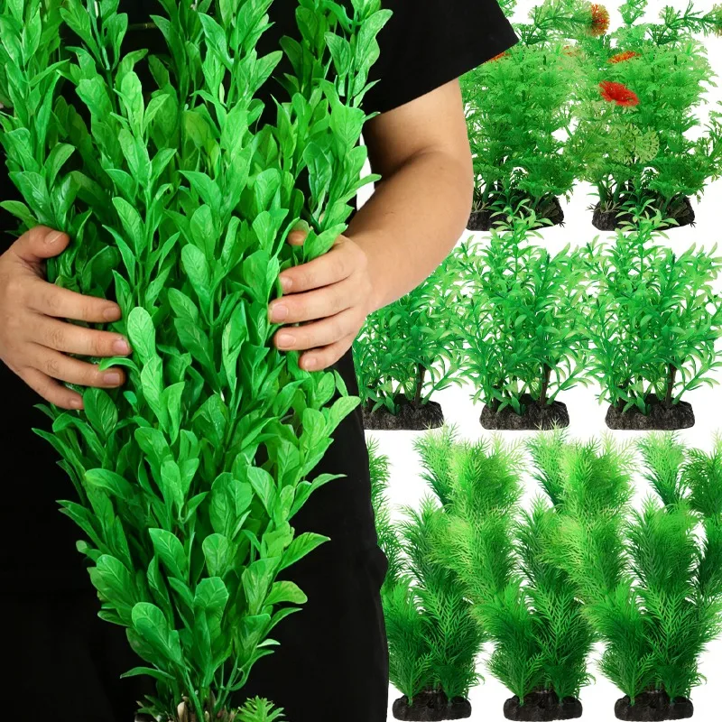 Fish Tank Simulatio…