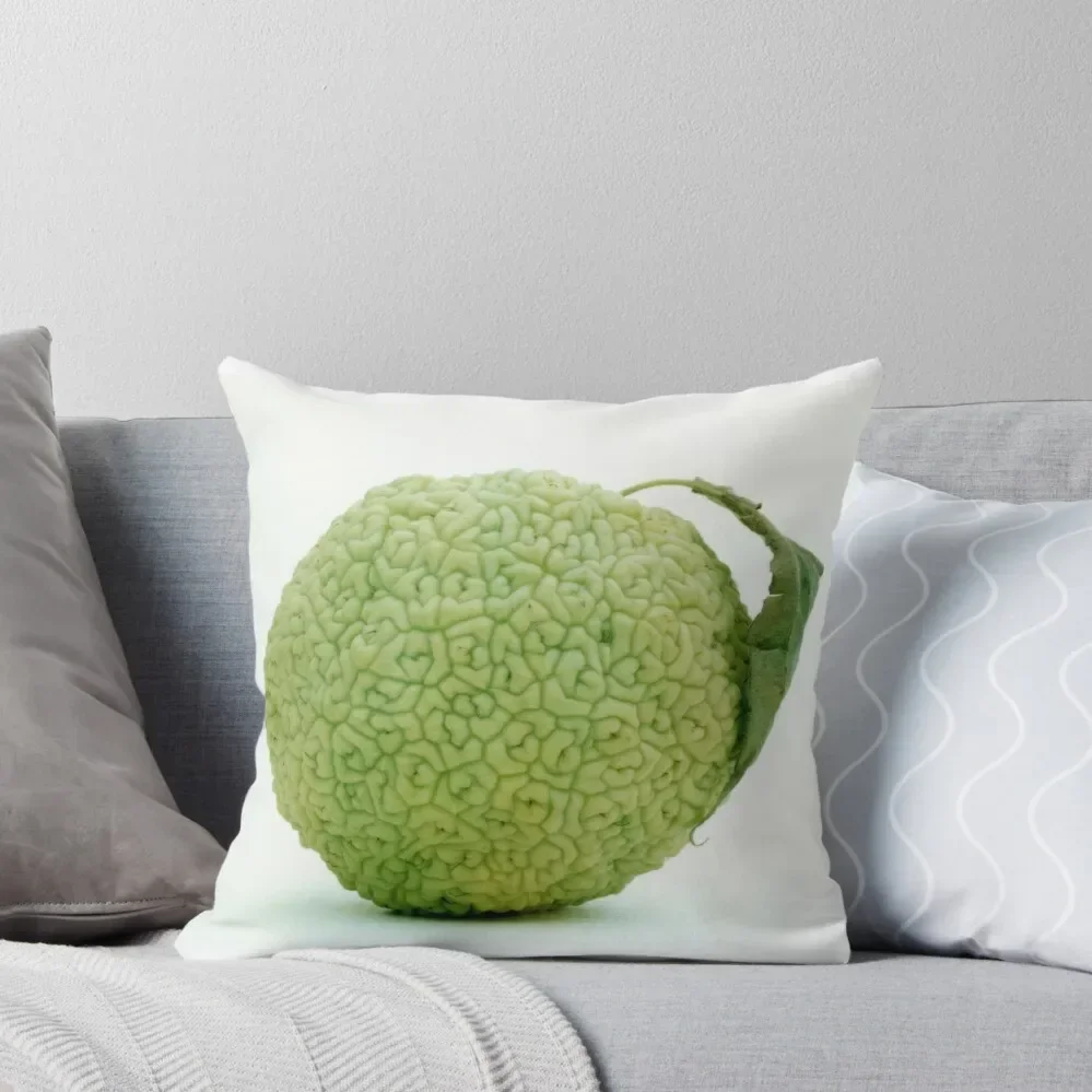 Hedge Apple Hedgeapple Osage Orange Throw Pillow Custom Cushion Luxury Cushion Cover ornamental pillows for living room pillow