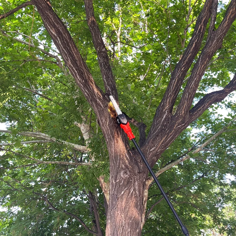 Extendable Cordless Battery Branch Pruning High Reach Long Pole Chain Saw