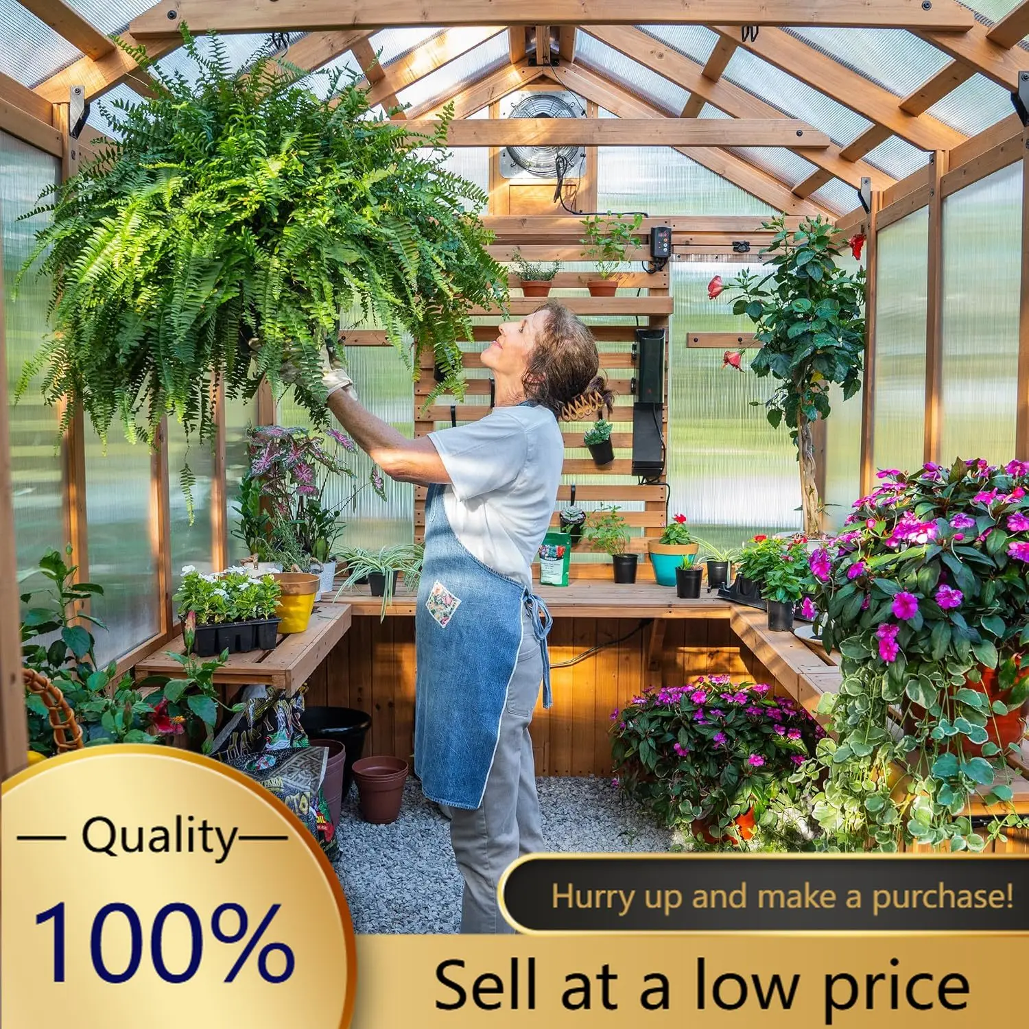Bellerose 11' x 7' Cedar Wood and Polycarbonate Walk-In Greenhouse Kit with Pergola, Exhaust Fan, Windows, Hose Hook-Ups, PowerP