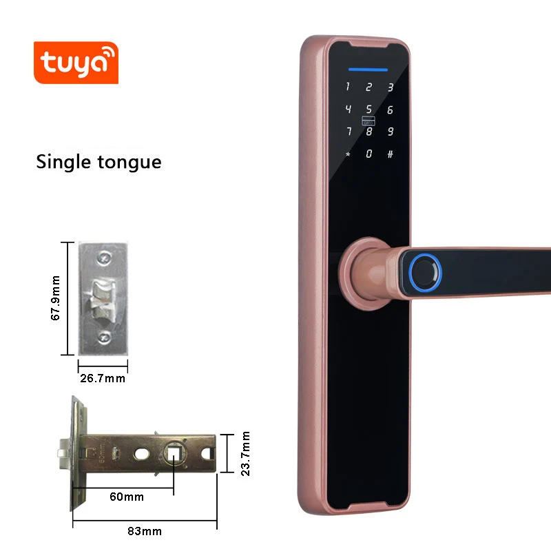 Biometric Fingerprint Door Lock Electronic Smart Lock Tuya App Remote Unlocking Keyless Lock Electronic Door Lock