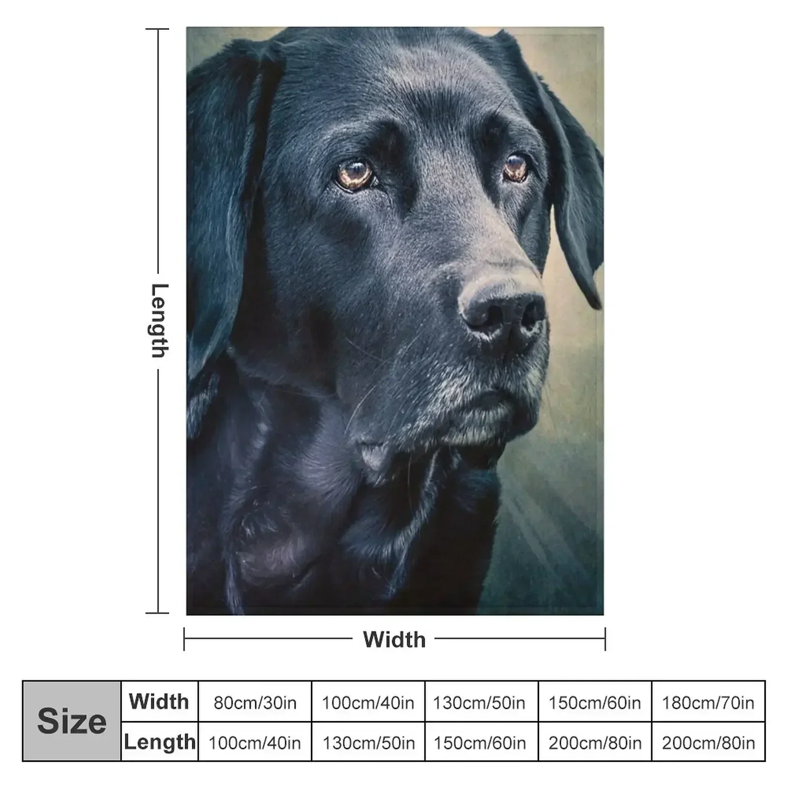Black Velvet - Labrador Throw Blanket Plaid on the sofa Soft Big Hairys Cute manga Cute Plaid Blankets