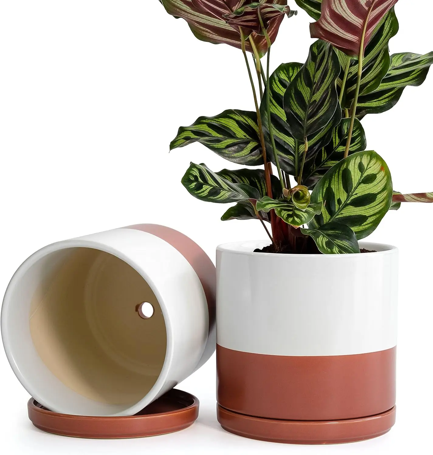 Set of 2 Plants Pot, 8 Inch Ceramic Planter Pot for Plants with Drainage Hole and Saucer