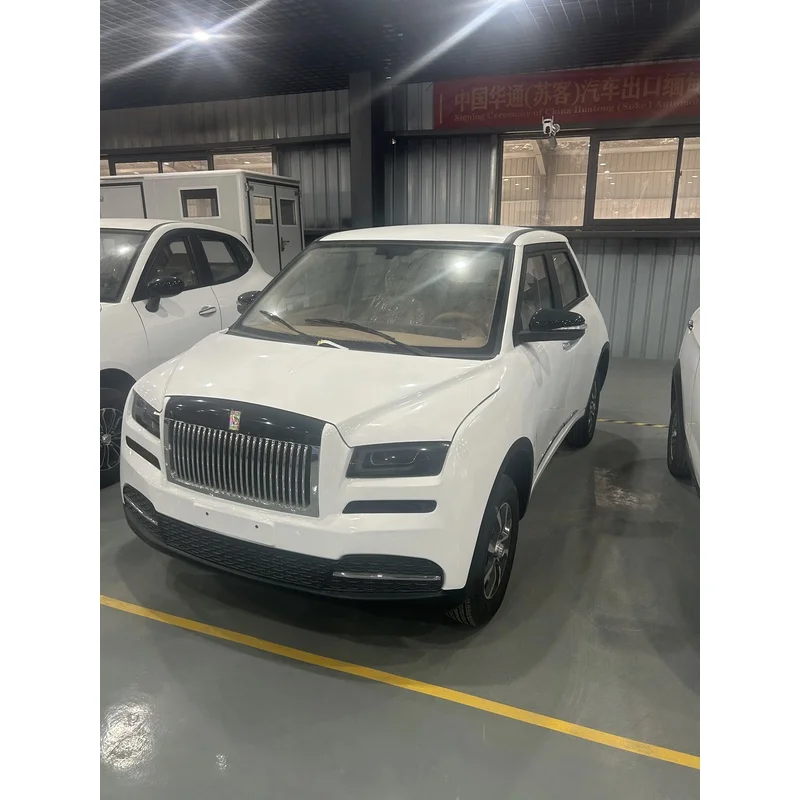 Affordable Real Car Popular Model with Luxurious Interior and Exterior True Four-wheel Adult Electric Vehicle