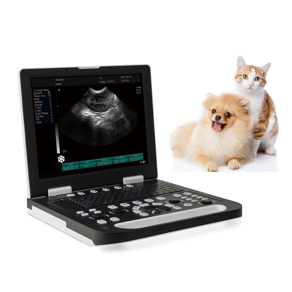 15 นิ้ว LED โน้ตบุ๊คขนาดเล็กสัตว์ใหญ่แมวสุนัข Vet Veterinary Ultrasound Scanner ระบบ USG