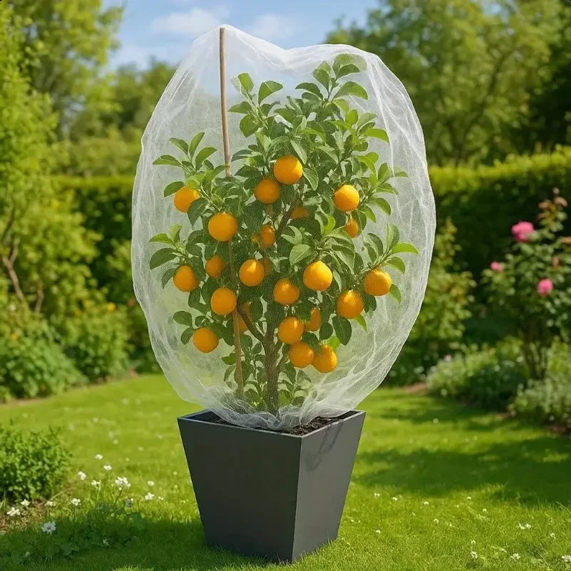 Nylon Plant Protection Netting Mesh Bag Cover for Fruit Vegetable Tree Strawberry Grapes Pest Control Anti-Bird Gardening Tools