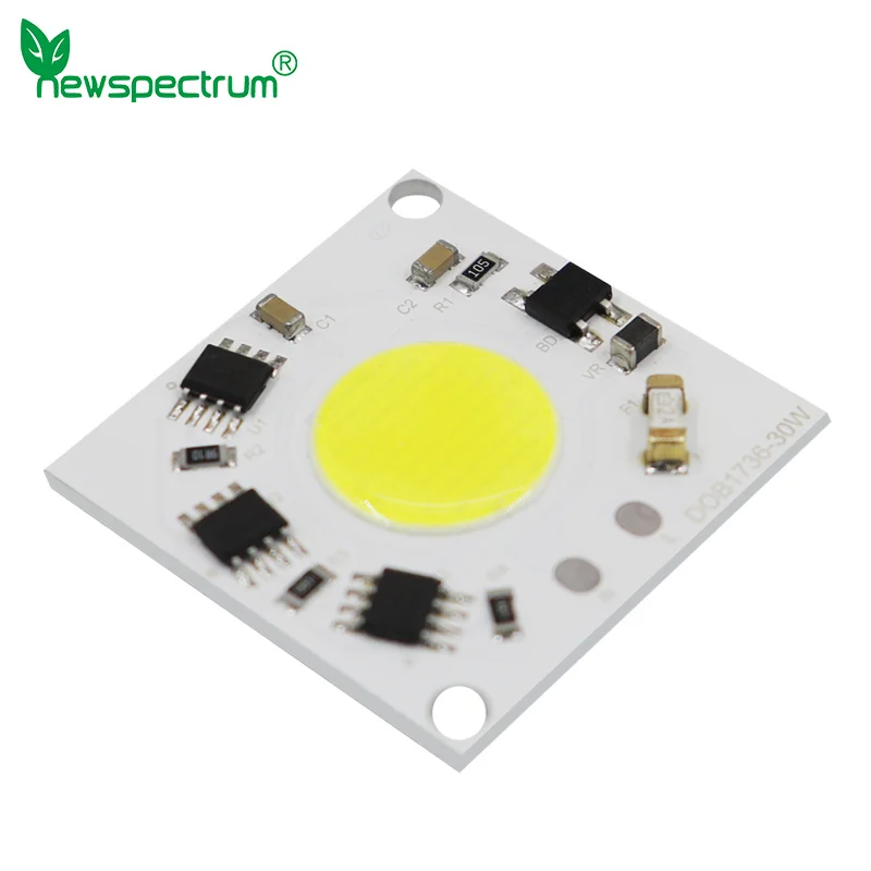 Volle Leistung 30W LED COB Chip AC 220V DOB Smart IC Keine Notwendigkeit Fahrer Lampe Lampe Perlen für flutlicht Scheinwerfer Downlight DIY Beleuchtung