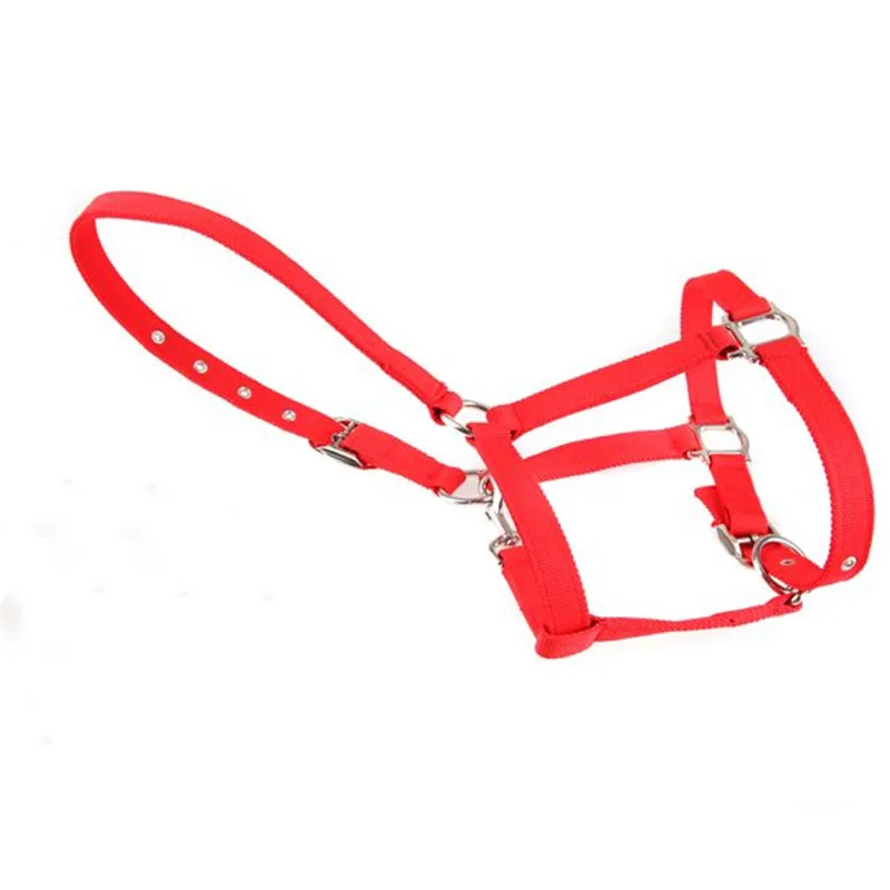 1 PC Horse Halter COLLAR Reins ขา GUARD อุปกรณ์ขี่ม้าสําหรับ Horse Halters