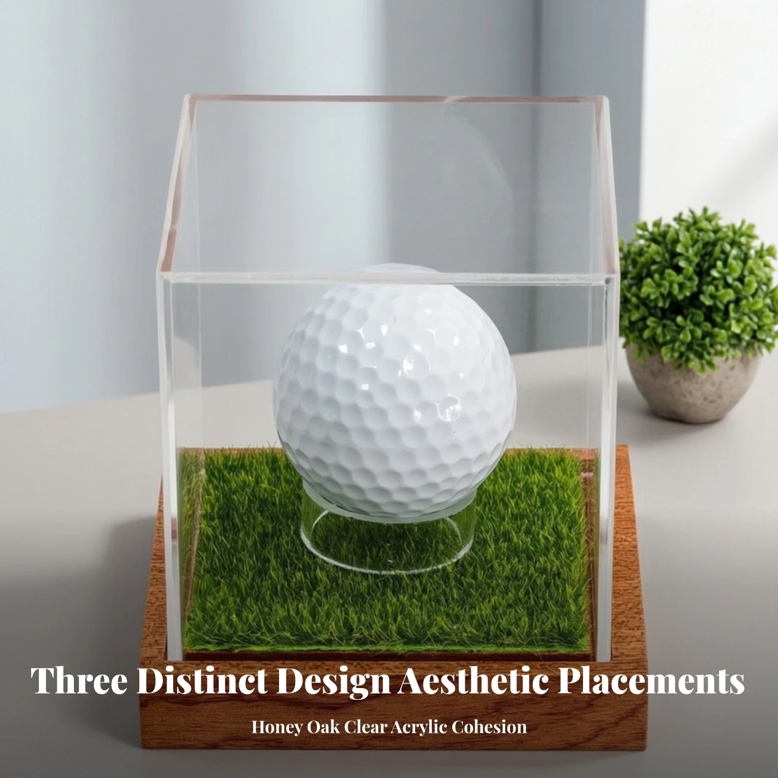 Golf Ball Display Case Compact Golf Ball Display Case with Wooden Base Clear Modern for Collectors, Trophy Shelf, Office Desk