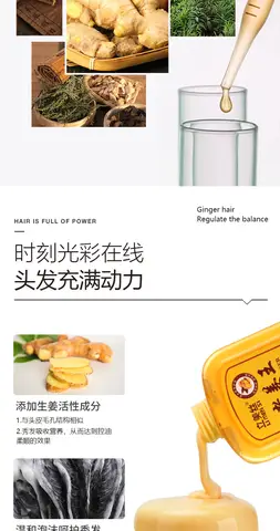 노강왕 생강 샴푸 | 비듬 가려움증 완화 | 오일 컨트롤 | 생강즙을 함유한 남녀공용 헤어 케어